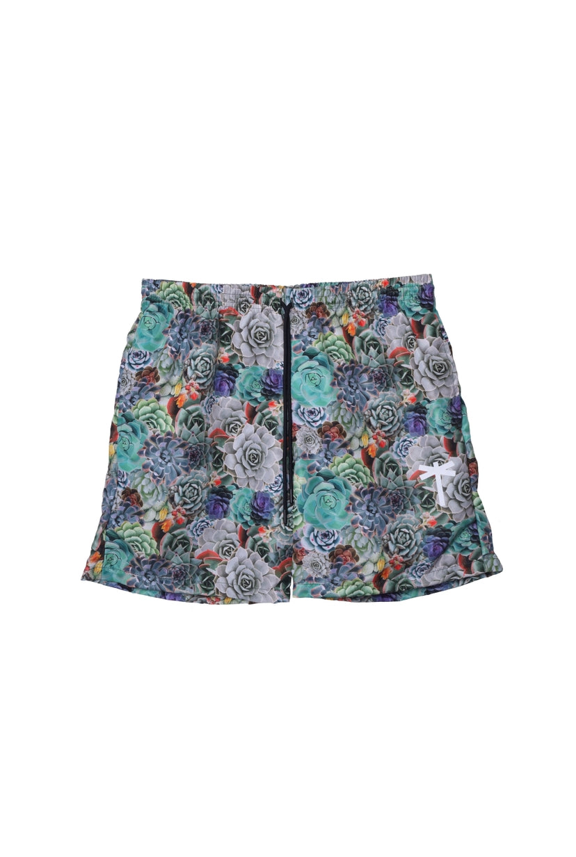 SUCCULENT SHORTS