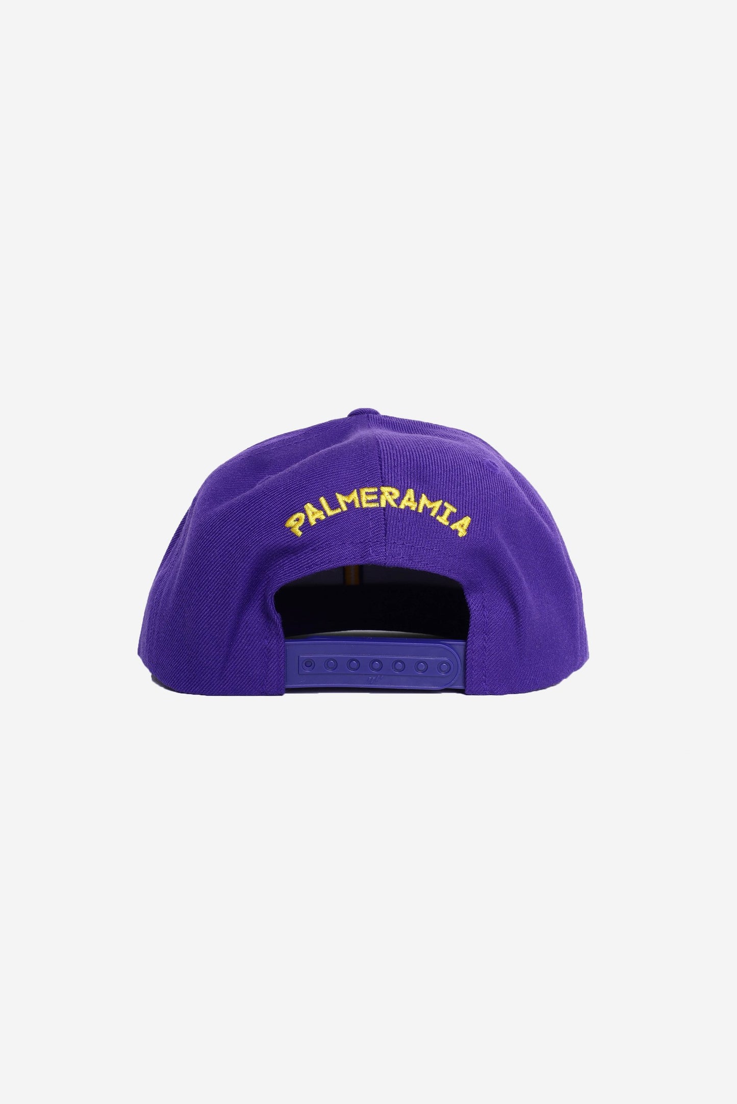 TROPHIES CLASSIC SNAPBACK