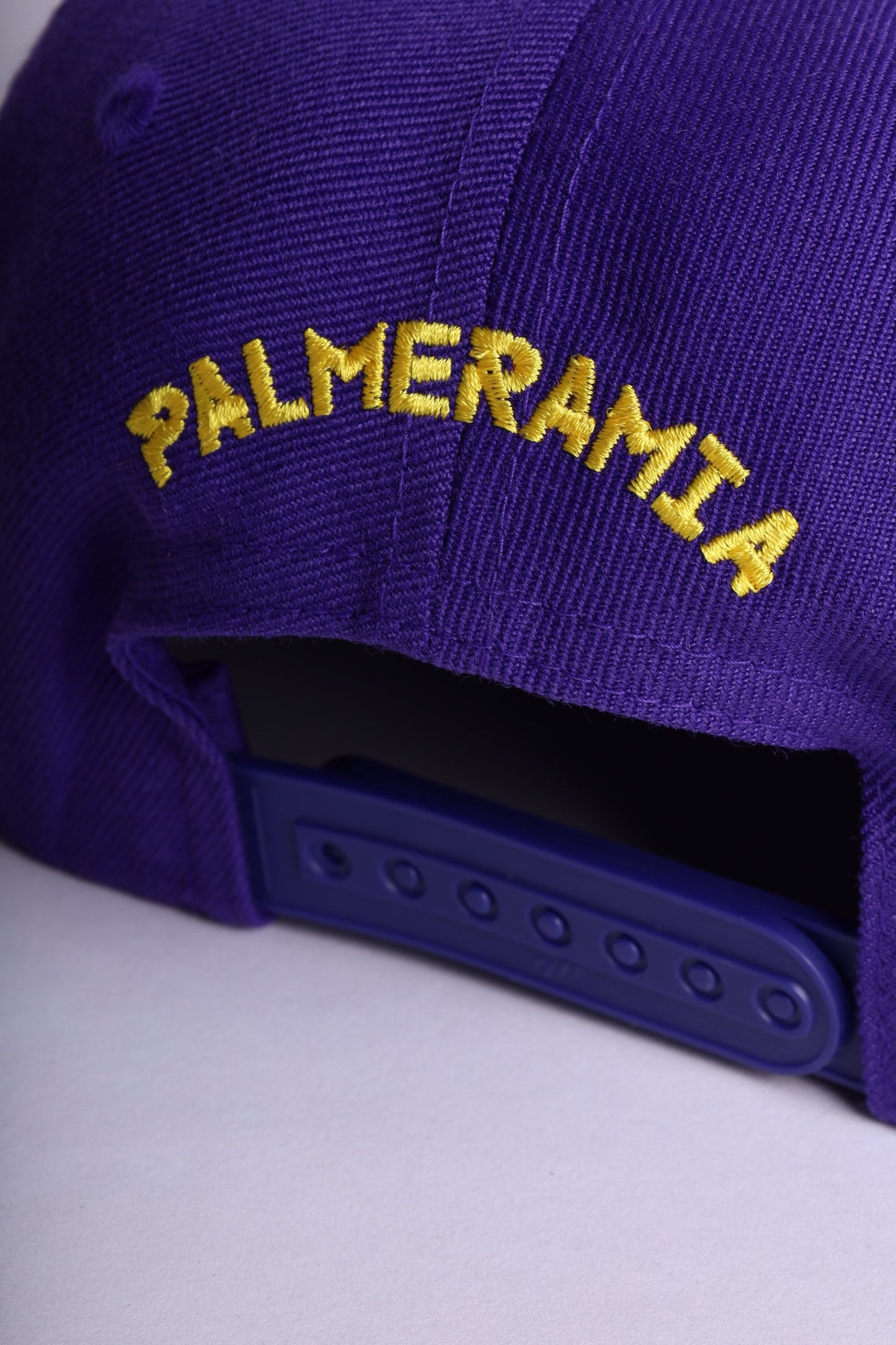 TROPHIES CLASSIC SNAPBACK