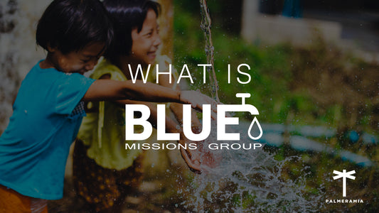 What Is Blue Missions?