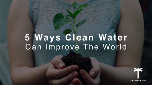 Ways Clean Water Can Improve The World