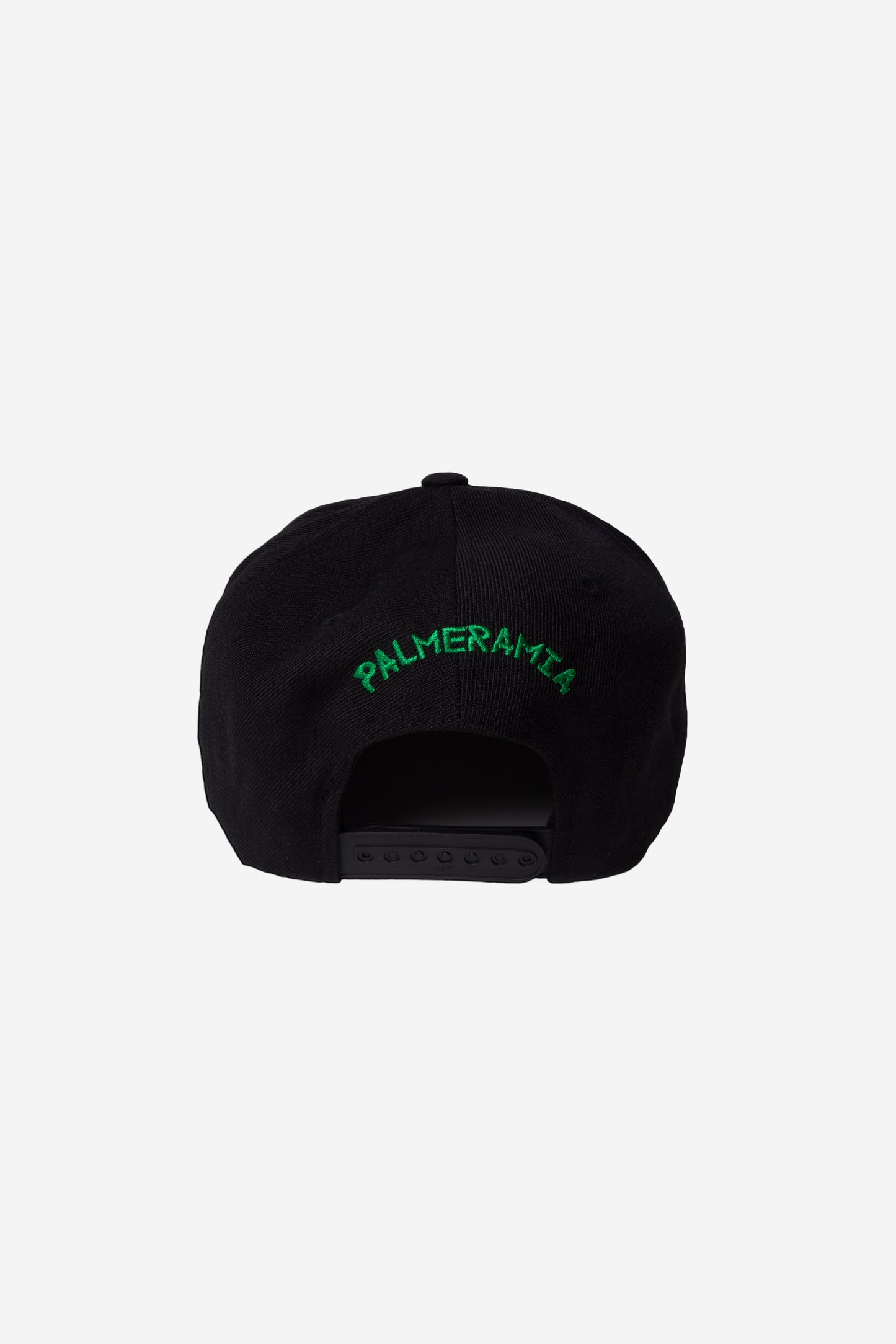 BLACK / GREEN CLASSIC SNAPBACK